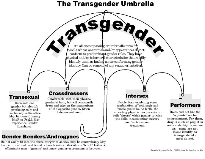 trans_umbrella